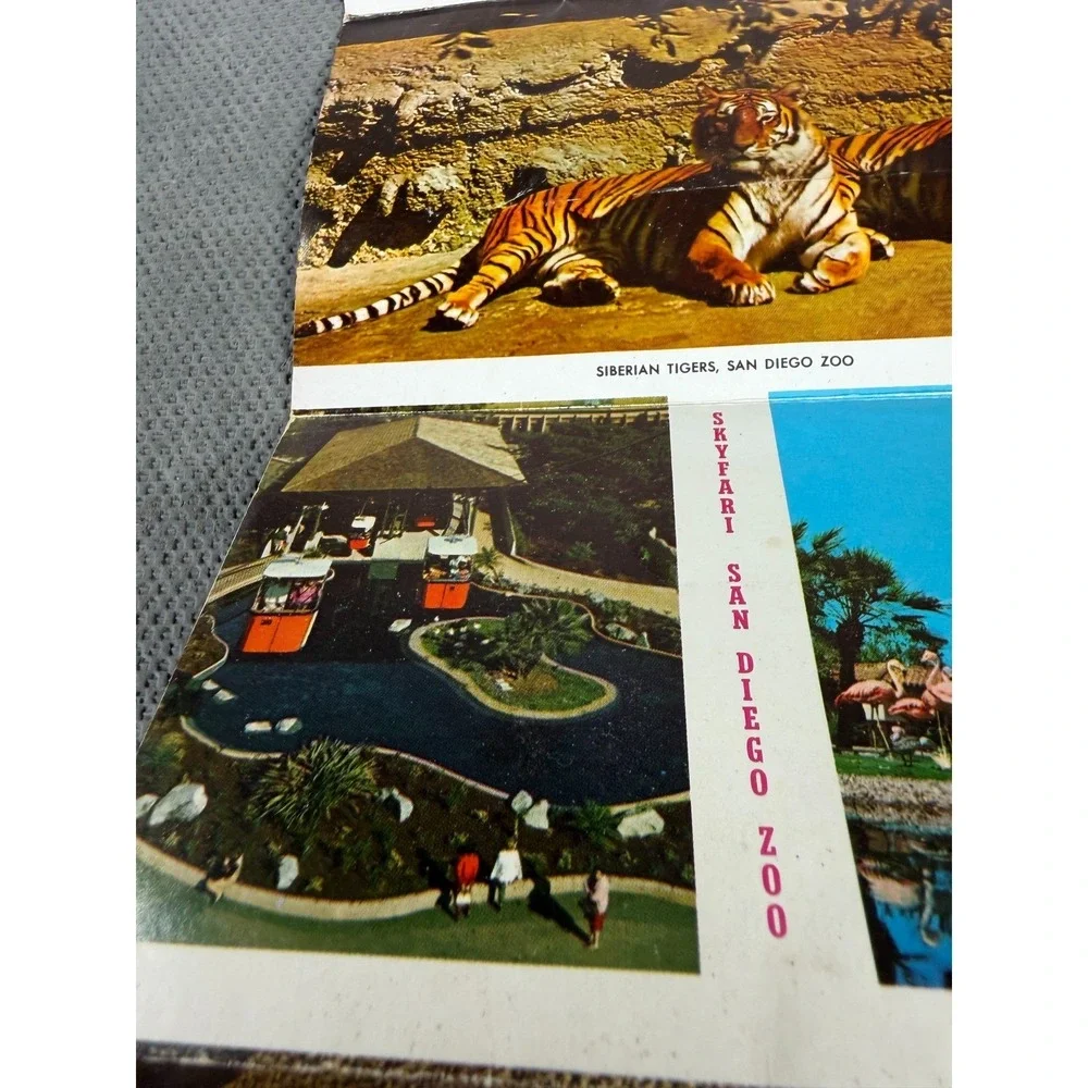 Vintage San Diego Zoo Postcard Folder 12 Views Balboa Park California Curt Teich